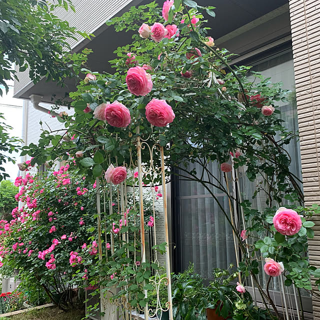 noinoi99さんの実例写真