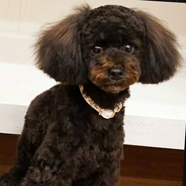 gousetsuさんの実例写真