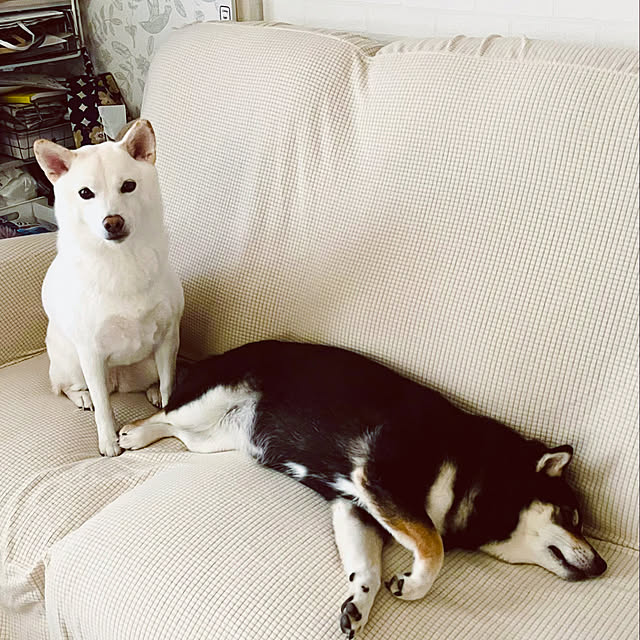 mo-nosukeさんの実例写真