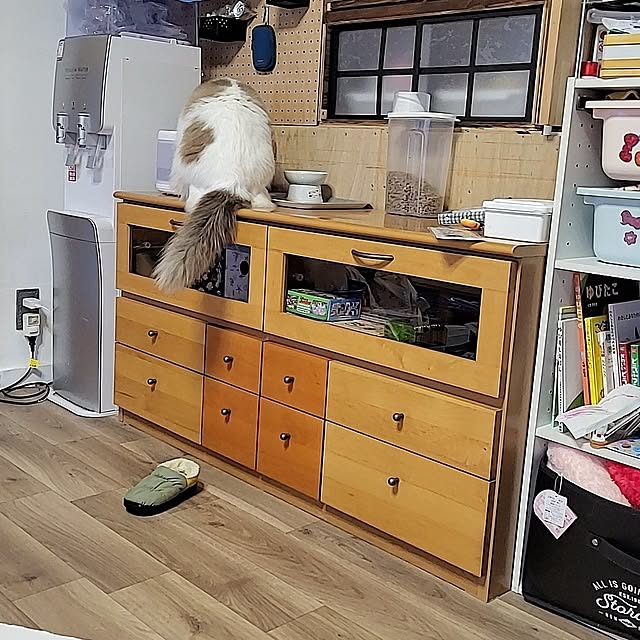 plumtreessさんの部屋