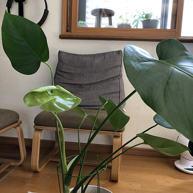 CoffeeHouseさんの実例写真