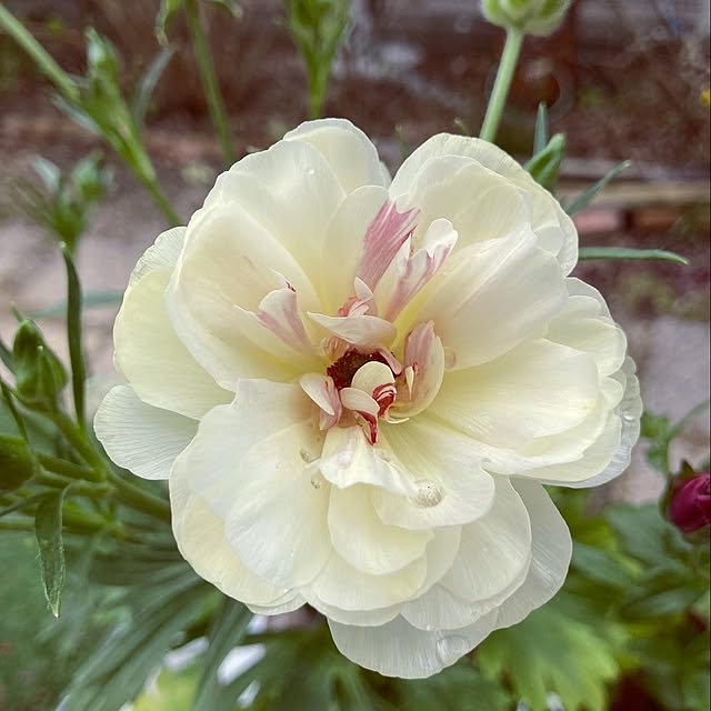 min_nimさんの実例写真
