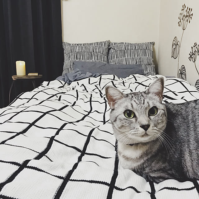 ineko_kさんの実例写真