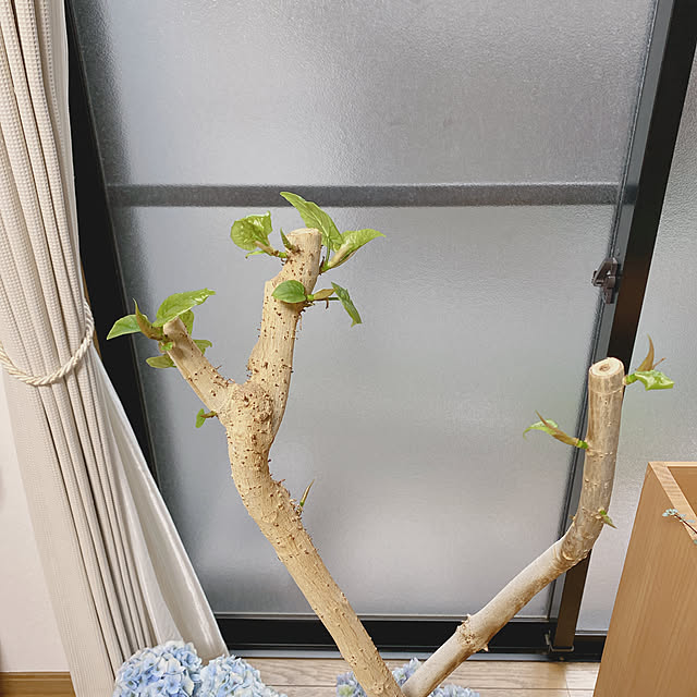 yukaさんの実例写真