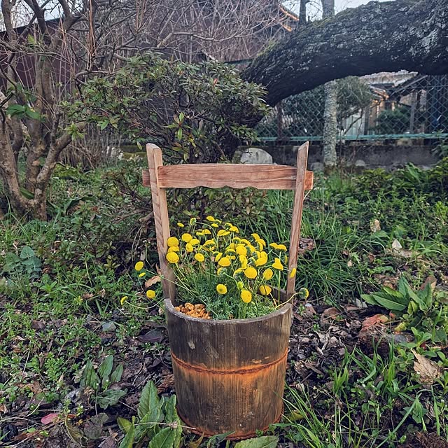 isikoro.DIYさんの実例写真