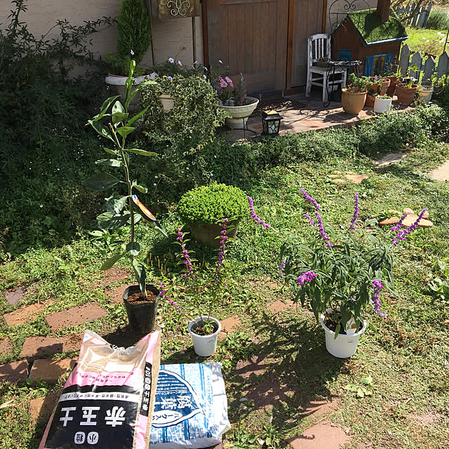 shigimiさんの実例写真