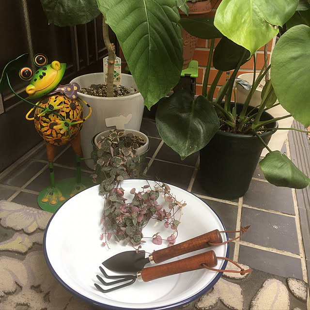miporinさんの実例写真
