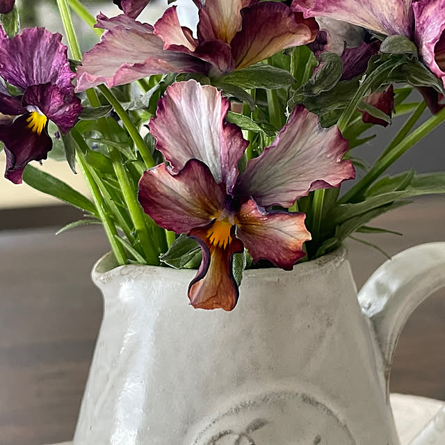 shiropenguinさんの部屋