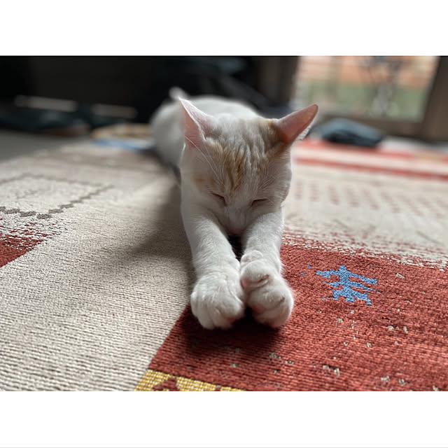 saさんの実例写真