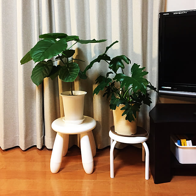 chiruさんの実例写真