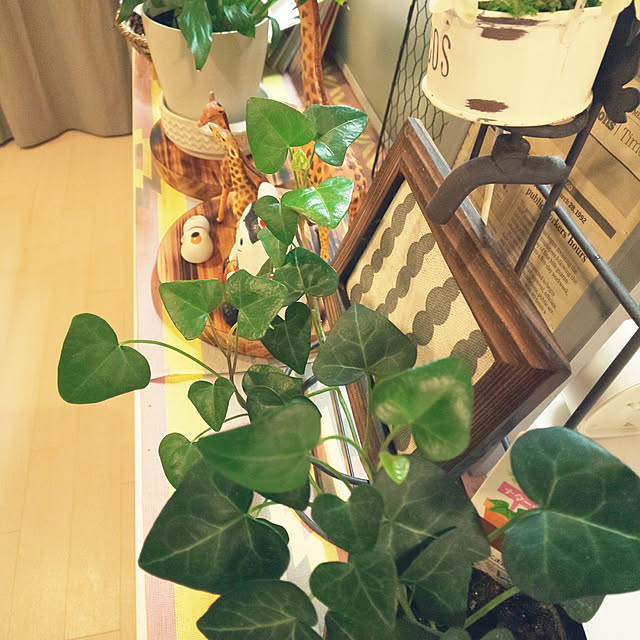 KOHAKUさんの実例写真