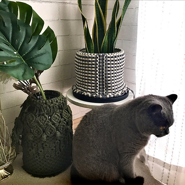 kittyさんの実例写真