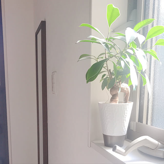 Momooさんの実例写真