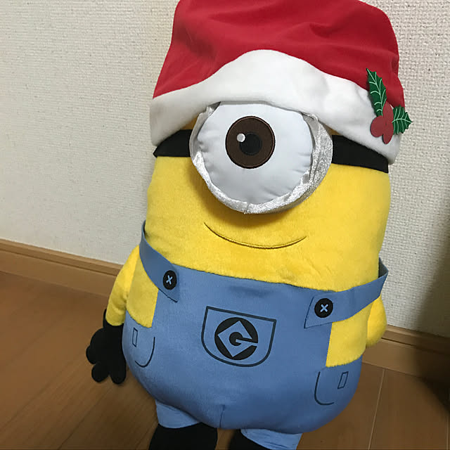 momoさんの実例写真