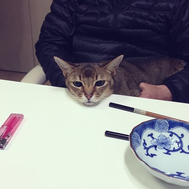 tkさんの実例写真