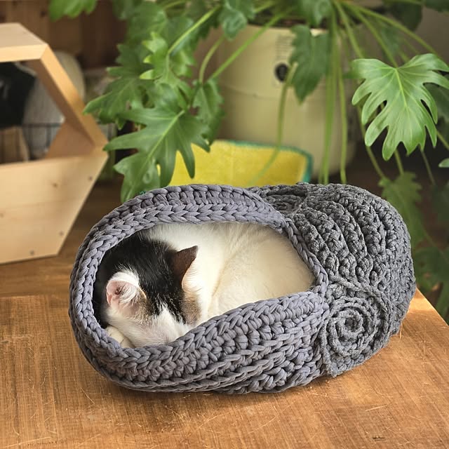 mikisunさんの部屋