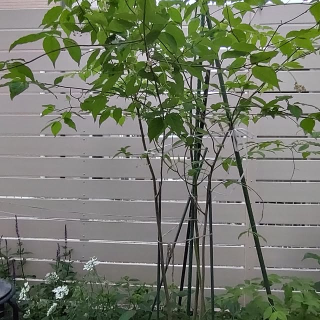 Bienvenueさんの部屋