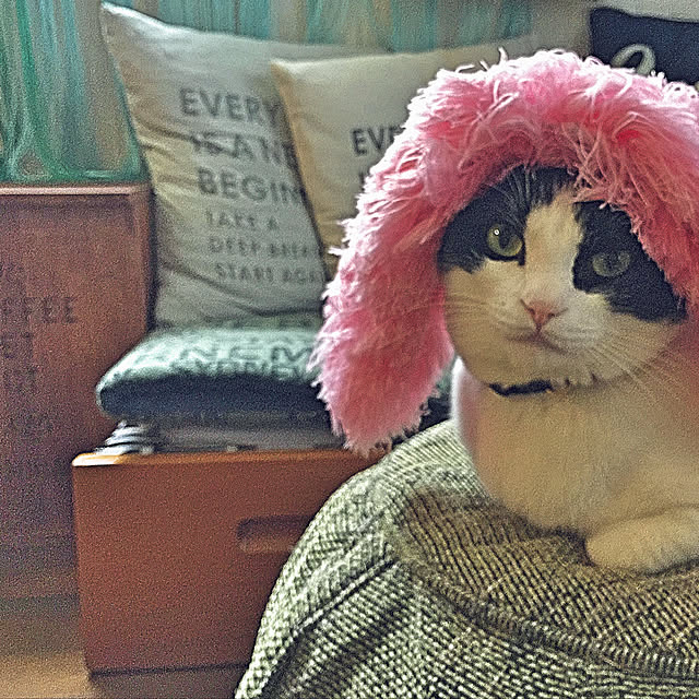 nisannisan39さんの実例写真