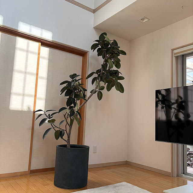 nao525さんの実例写真