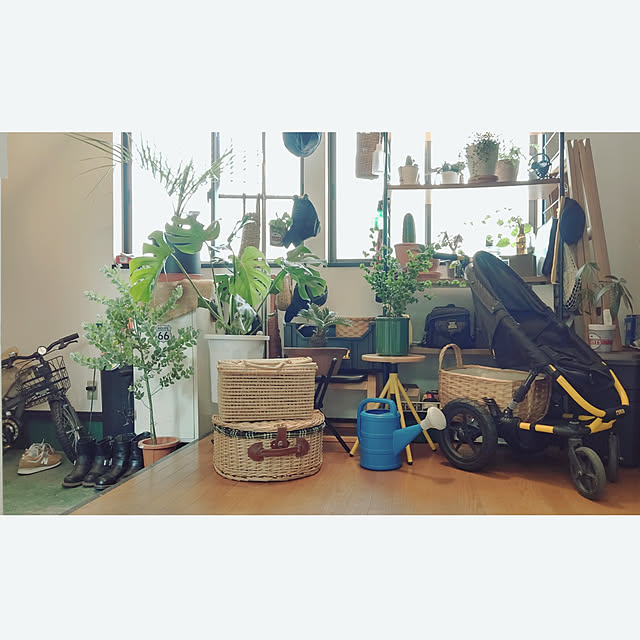y-mikirinenon-yさんの実例写真