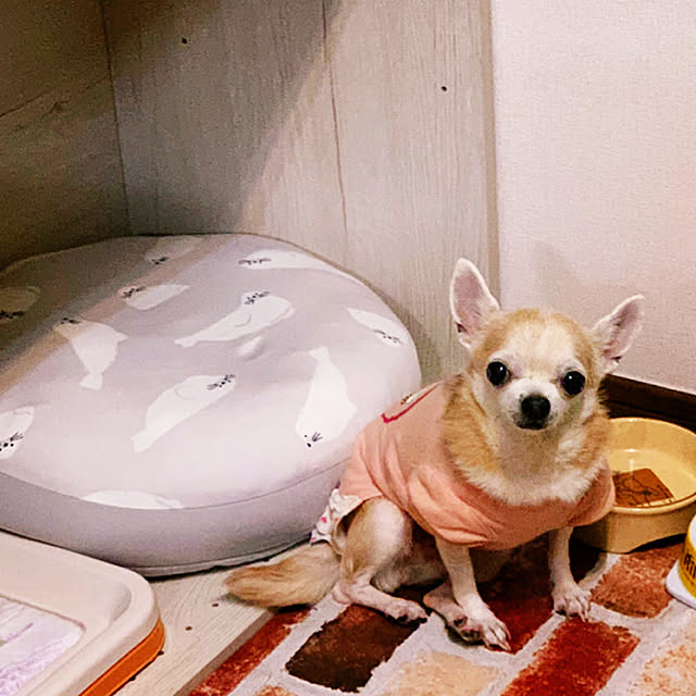 Kayukoさんの実例写真