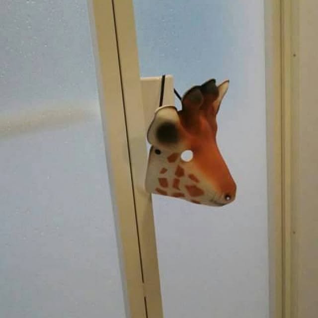 Junichiさんの実例写真