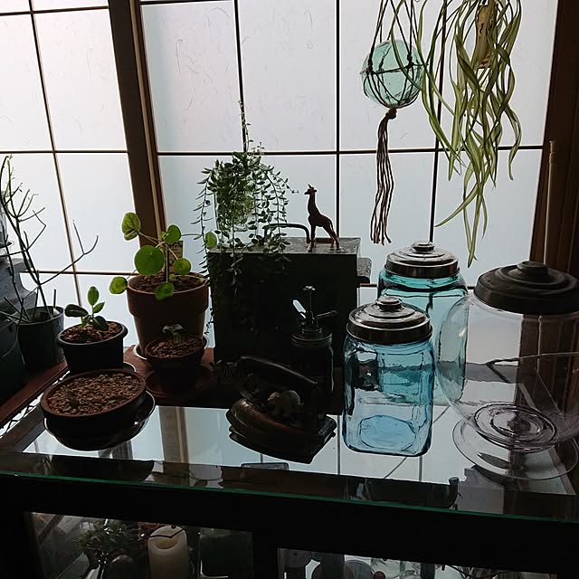 tikuwaさんの部屋
