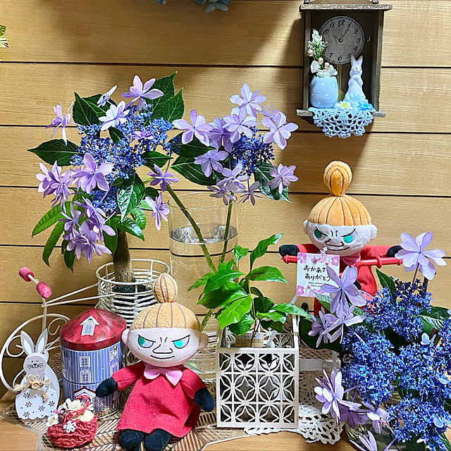 n_k6369さんの実例写真