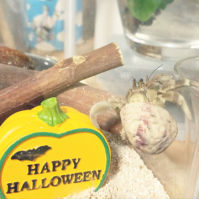 ninniさんの実例写真