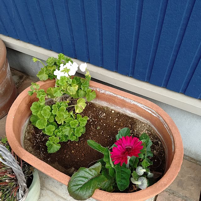 urchinさんの部屋