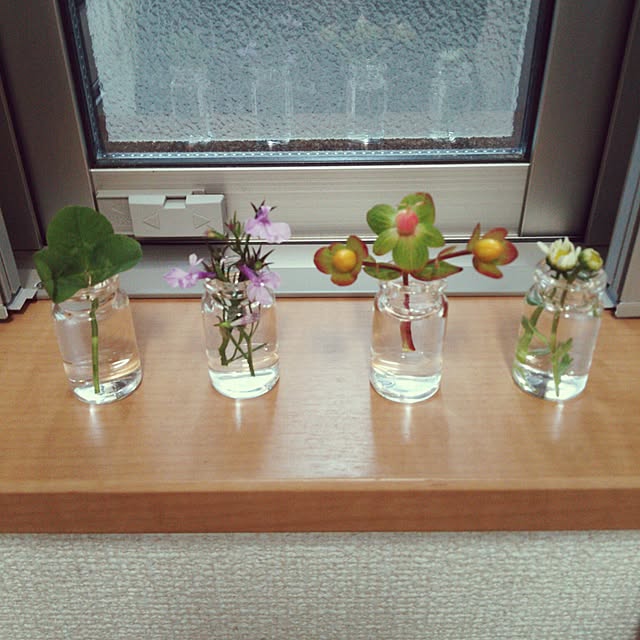 nikoさんの実例写真
