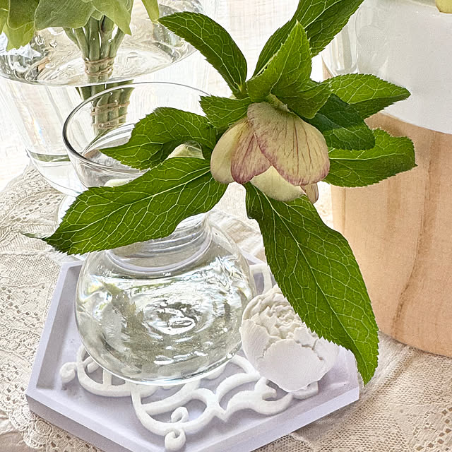 Chigusaさんの部屋