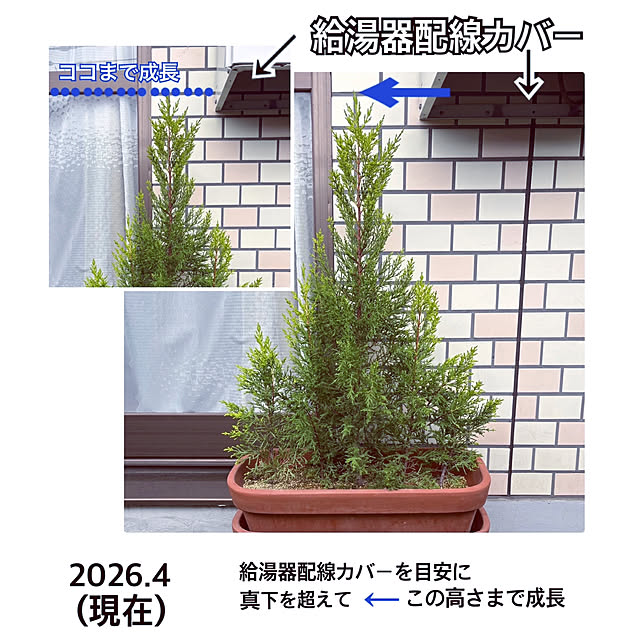 madamkaoriさんの部屋