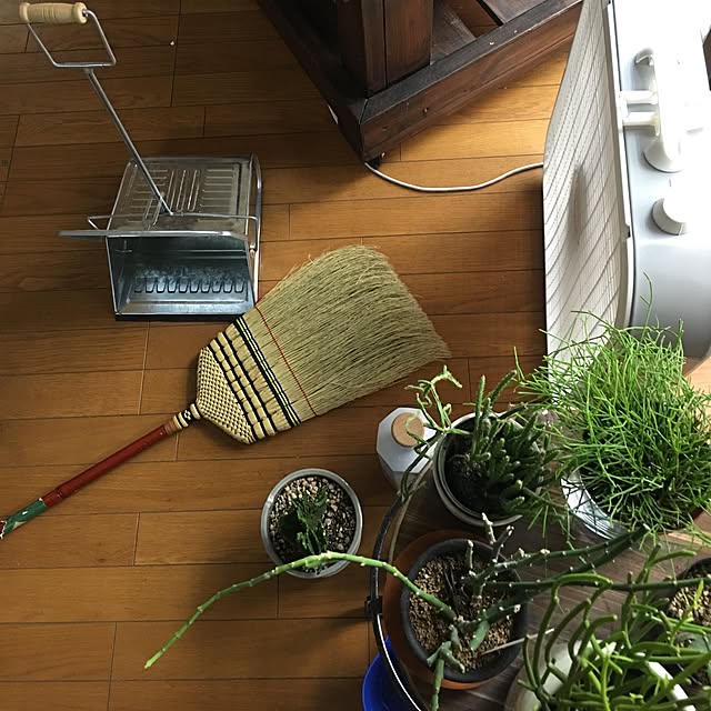 anri38さんの実例写真
