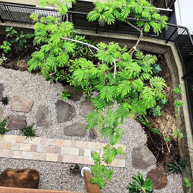 gaburimichaさんの実例写真