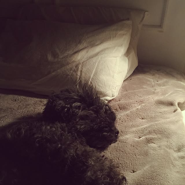 chiiさんの実例写真