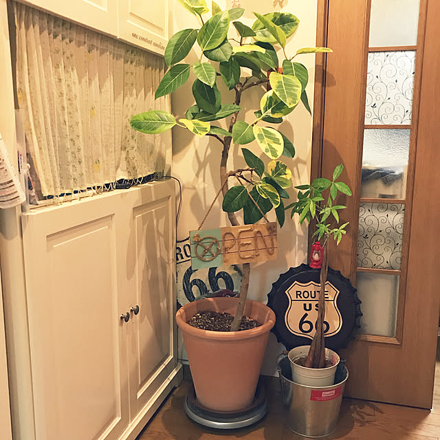 LEMONEDさんの実例写真
