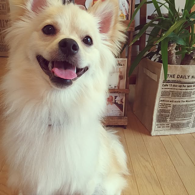 takakoさんの実例写真