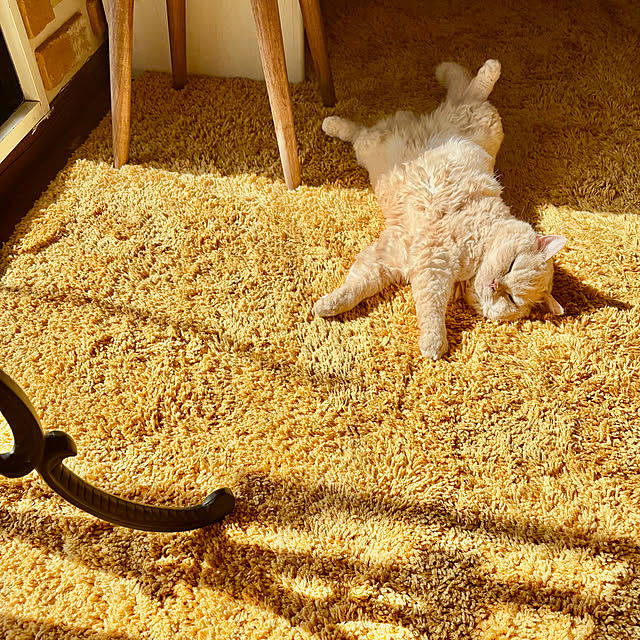 naokoさんの部屋