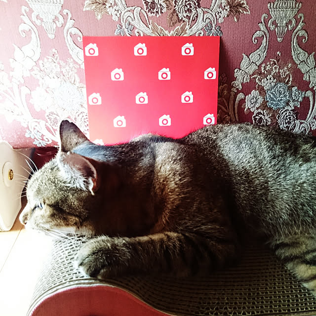 lilyさんの実例写真