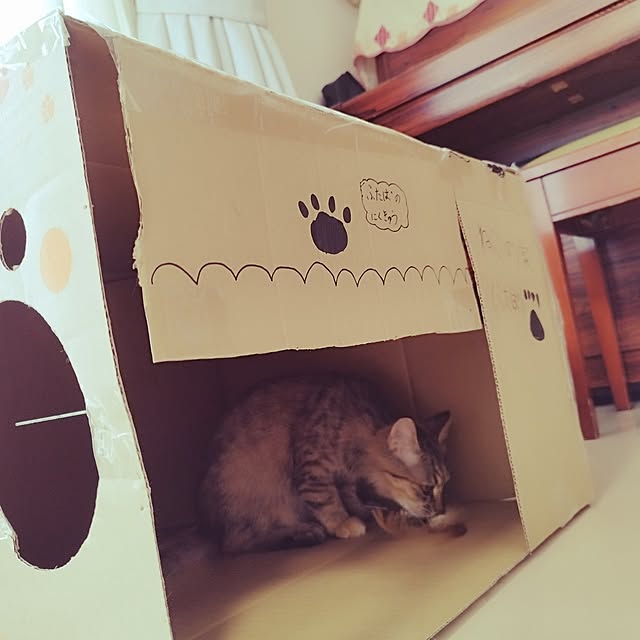 chacoさんの部屋