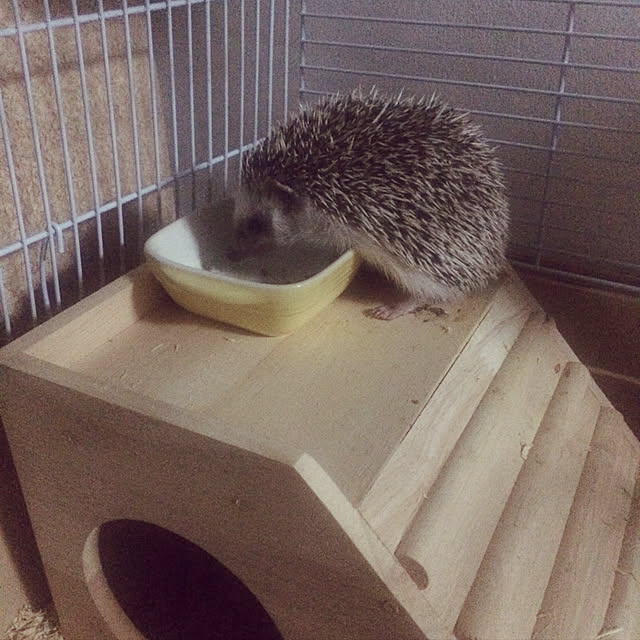 moonさんの実例写真