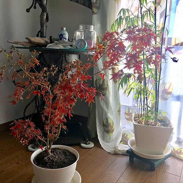 masaさんの実例写真