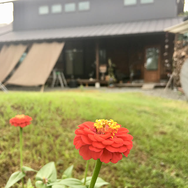 kozakura10さんの実例写真