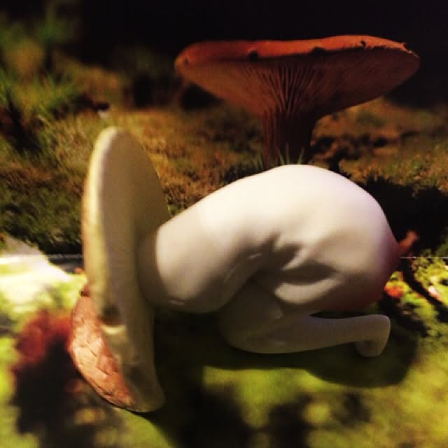 shishaさんの実例写真