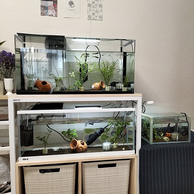 niniさんの部屋