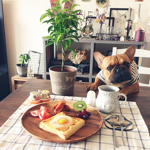 eriさんの実例写真