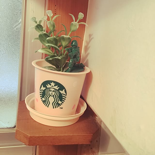 yacchinさんの実例写真