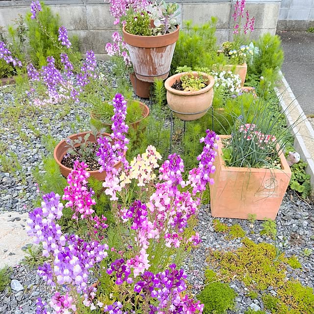 PEROさんの実例写真