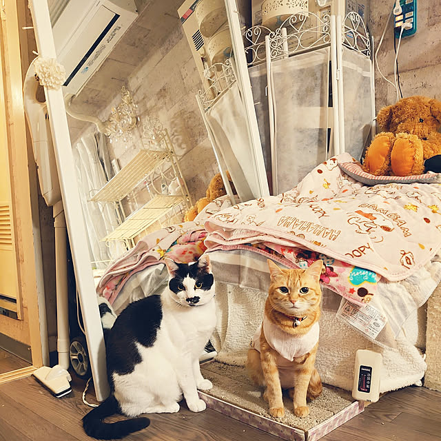 asuminさんの実例写真